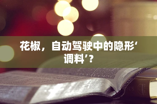 花椒，自动驾驶中的隐形‘调料’？