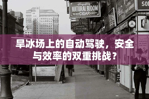 旱冰场上的自动驾驶，安全与效率的双重挑战？