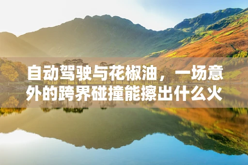 自动驾驶与花椒油，一场意外的跨界碰撞能擦出什么火花？