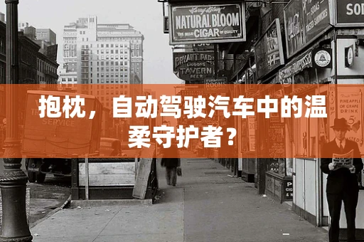 抱枕，自动驾驶汽车中的温柔守护者？