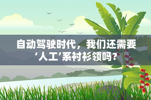 自动驾驶时代，我们还需要‘人工’系衬衫领吗？