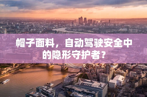 帽子面料，自动驾驶安全中的隐形守护者？