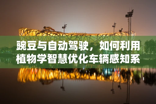 豌豆与自动驾驶，如何利用植物学智慧优化车辆感知系统？