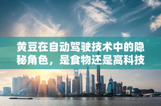 黄豆在自动驾驶技术中的隐秘角色，是食物还是高科技的‘眼睛’？