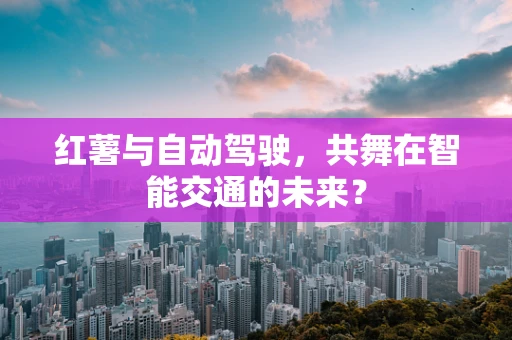 红薯与自动驾驶，共舞在智能交通的未来？