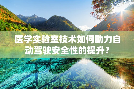 医学实验室技术如何助力自动驾驶安全性的提升？