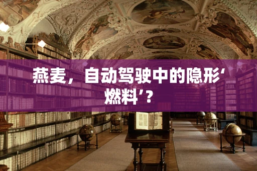 燕麦，自动驾驶中的隐形‘燃料’？
