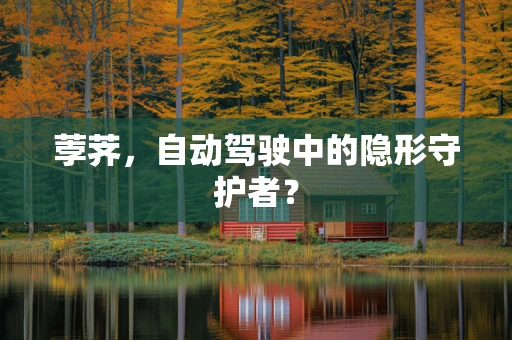 荸荠，自动驾驶中的隐形守护者？