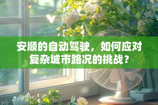 安顺的自动驾驶，如何应对复杂城市路况的挑战？