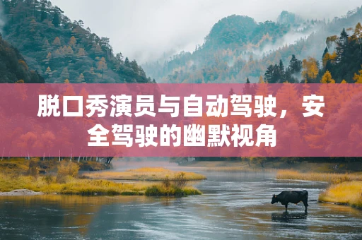 脱口秀演员与自动驾驶，安全驾驶的幽默视角