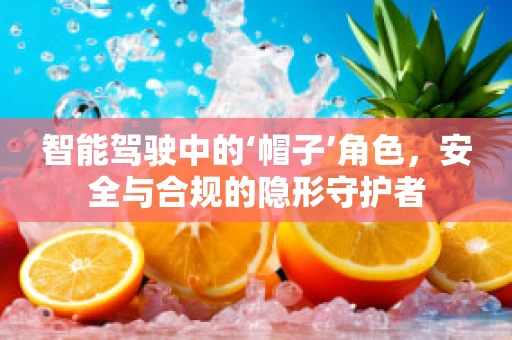 智能驾驶中的‘帽子’角色，安全与合规的隐形守护者