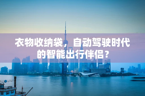 衣物收纳袋，自动驾驶时代的智能出行伴侣？