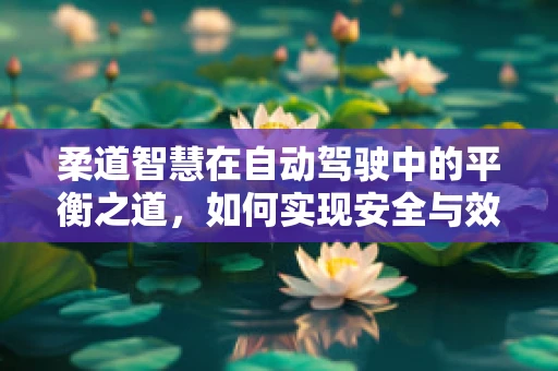 柔道智慧在自动驾驶中的平衡之道，如何实现安全与效率的完美融合？