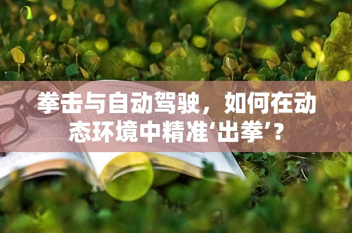 拳击与自动驾驶，如何在动态环境中精准‘出拳’？