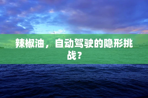 辣椒油，自动驾驶的隐形挑战？