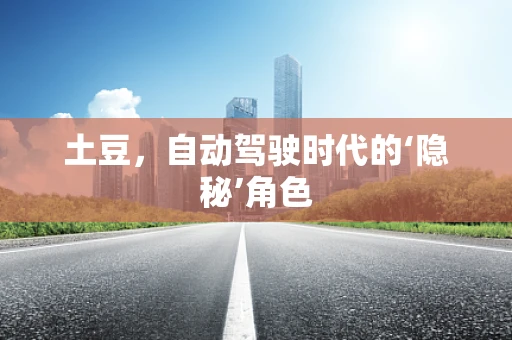 土豆，自动驾驶时代的‘隐秘’角色