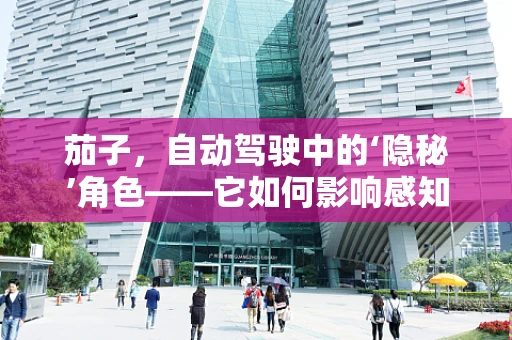 茄子，自动驾驶中的‘隐秘’角色——它如何影响感知与决策？