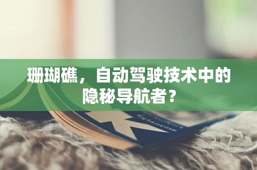 珊瑚礁，自动驾驶技术中的隐秘导航者？