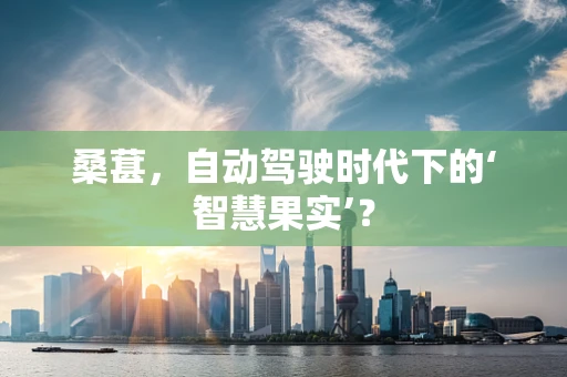 桑葚，自动驾驶时代下的‘智慧果实’？