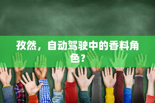 孜然，自动驾驶中的香料角色？