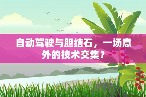 自动驾驶与胆结石，一场意外的技术交集？