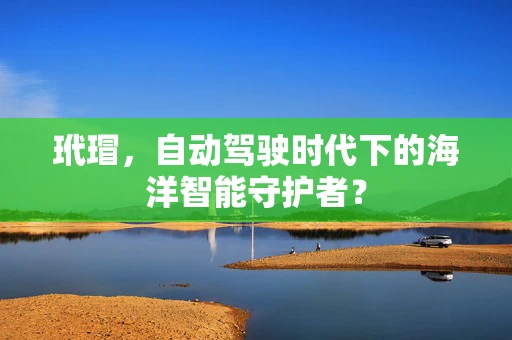 玳瑁，自动驾驶时代下的海洋智能守护者？