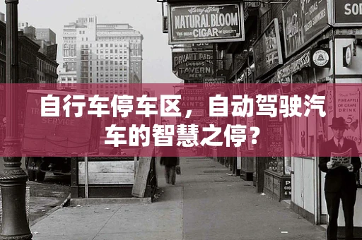 自行车停车区，自动驾驶汽车的智慧之停？