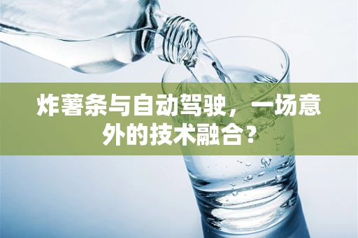 炸薯条与自动驾驶，一场意外的技术融合？