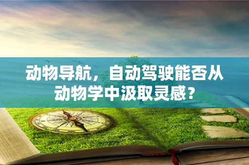 动物导航，自动驾驶能否从动物学中汲取灵感？