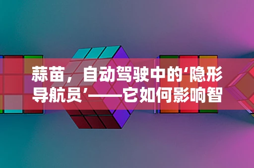 蒜苗，自动驾驶中的‘隐形导航员’——它如何影响智能车辆的决策？