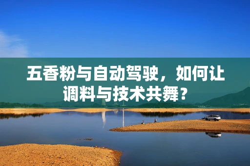 五香粉与自动驾驶，如何让调料与技术共舞？