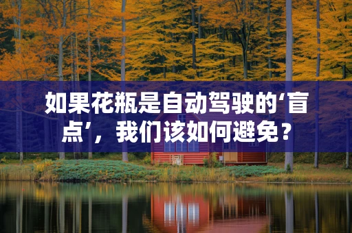 如果花瓶是自动驾驶的‘盲点’，我们该如何避免？