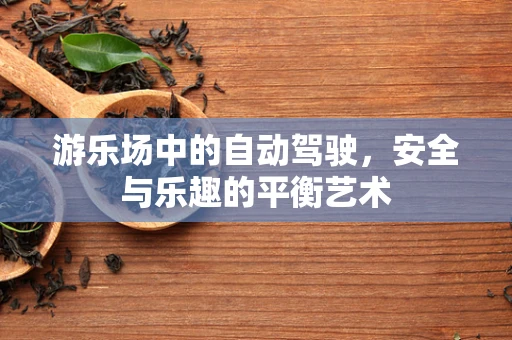 游乐场中的自动驾驶，安全与乐趣的平衡艺术