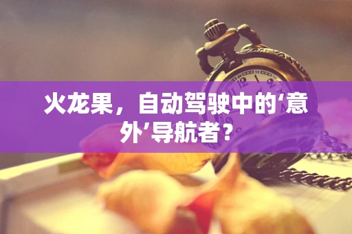 火龙果，自动驾驶中的‘意外’导航者？