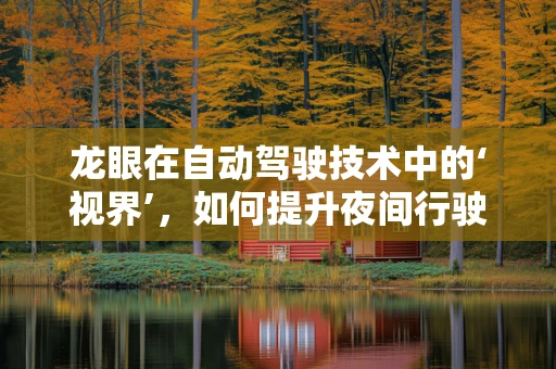 龙眼在自动驾驶技术中的‘视界’，如何提升夜间行驶安全？