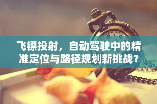 飞镖投射，自动驾驶中的精准定位与路径规划新挑战？