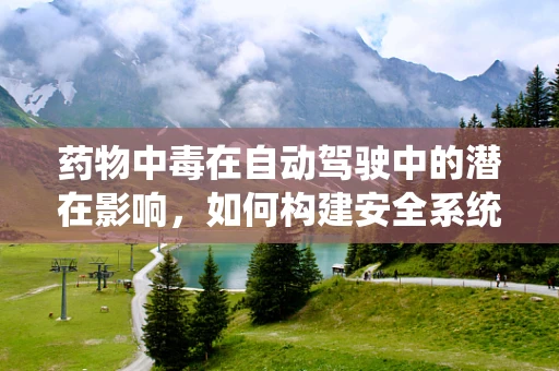 药物中毒在自动驾驶中的潜在影响，如何构建安全系统以应对？