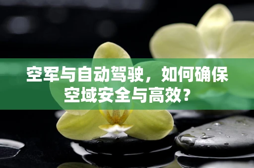 空军与自动驾驶，如何确保空域安全与高效？