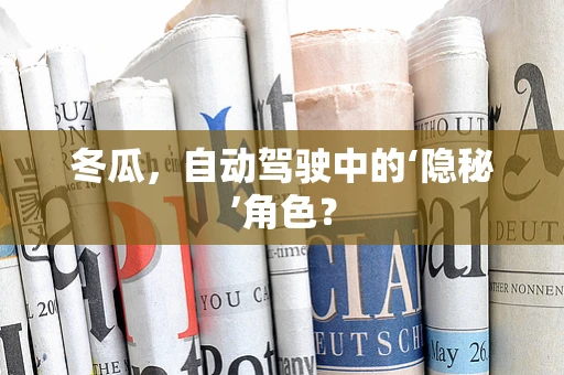 冬瓜，自动驾驶中的‘隐秘’角色？