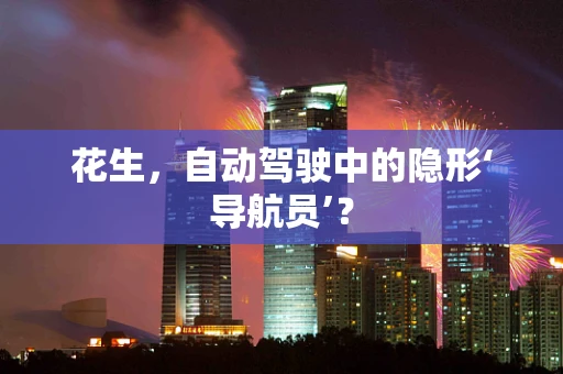花生，自动驾驶中的隐形‘导航员’？