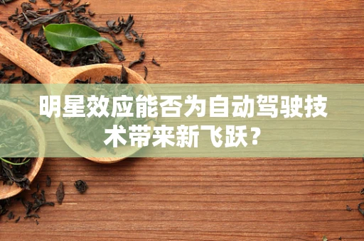 明星效应能否为自动驾驶技术带来新飞跃？