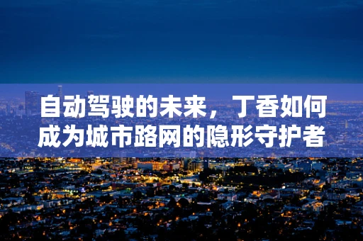 自动驾驶的未来，丁香如何成为城市路网的隐形守护者？