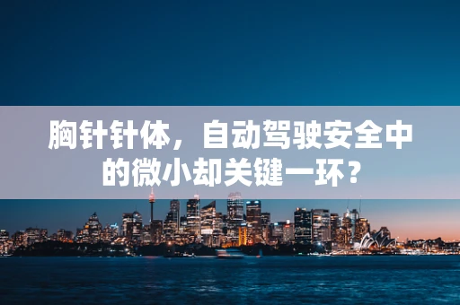 胸针针体，自动驾驶安全中的微小却关键一环？