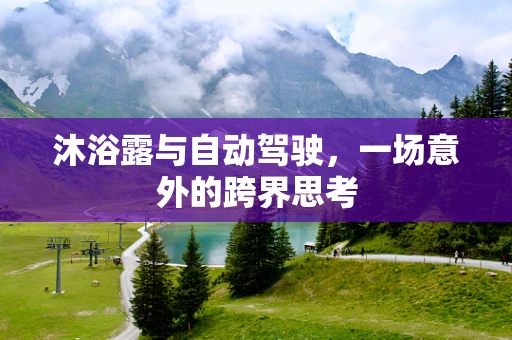 沐浴露与自动驾驶，一场意外的跨界思考