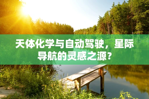 天体化学与自动驾驶，星际导航的灵感之源？