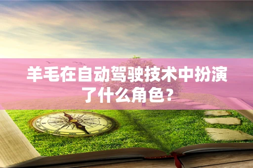 羊毛在自动驾驶技术中扮演了什么角色？