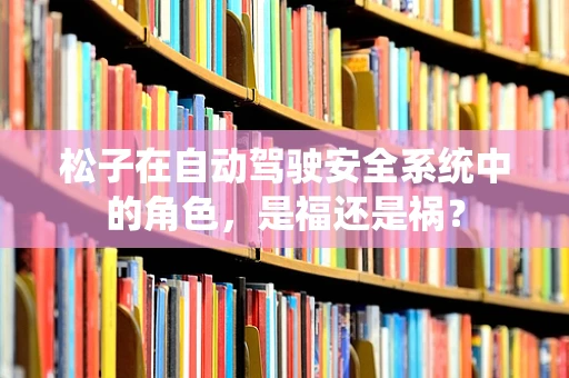 松子在自动驾驶安全系统中的角色，是福还是祸？