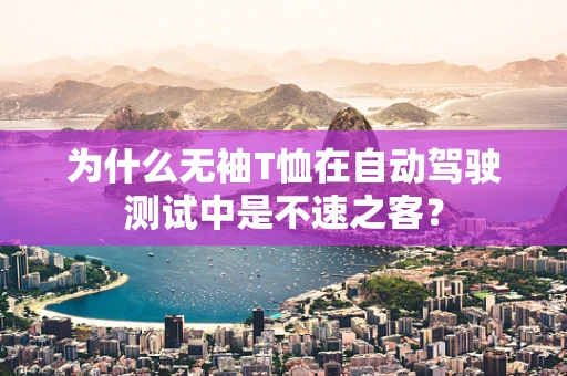 为什么无袖T恤在自动驾驶测试中是不速之客？
