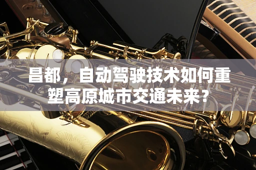 昌都，自动驾驶技术如何重塑高原城市交通未来？