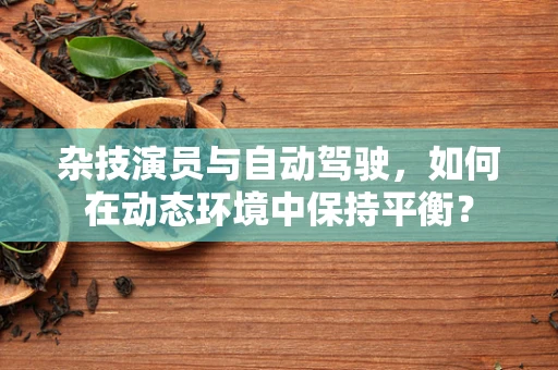 杂技演员与自动驾驶，如何在动态环境中保持平衡？